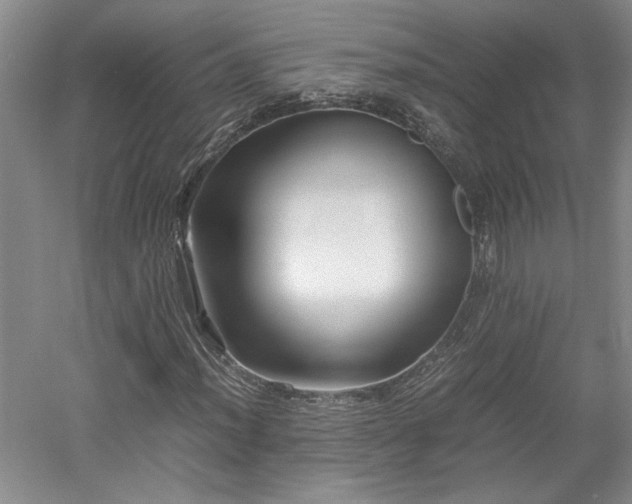 X0000052991012200507151849