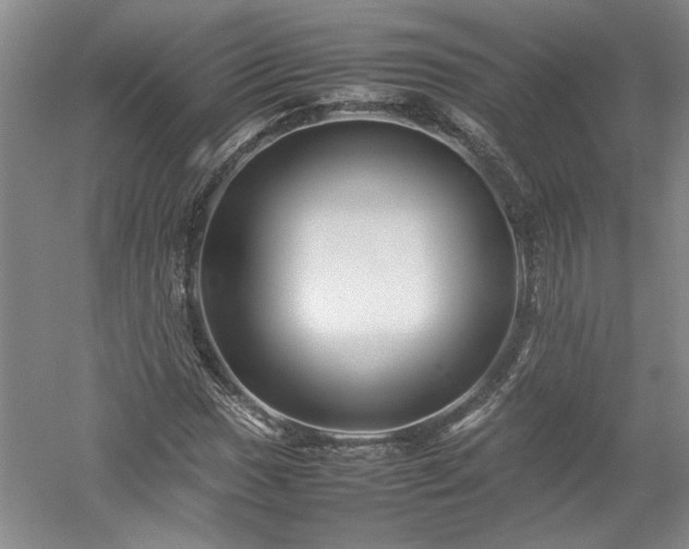 X0000052991017200507151849