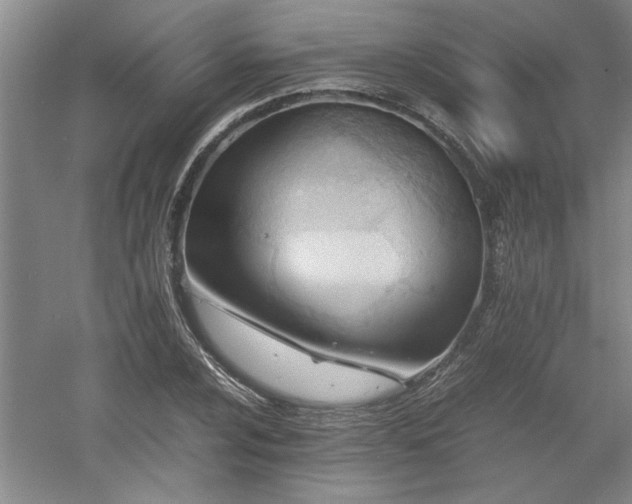 X0000052991024200507151849