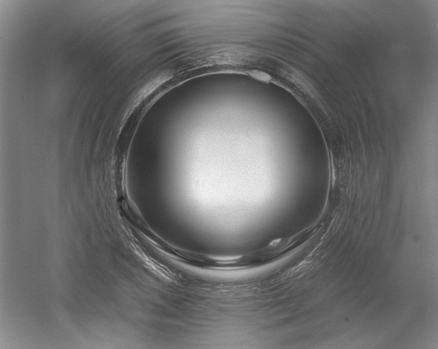 X0000052991026200507151849