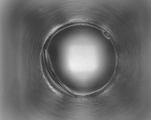 X0000052991030200507151849