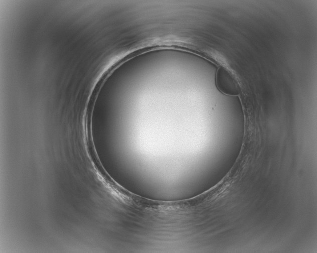 X0000052991032200507151849