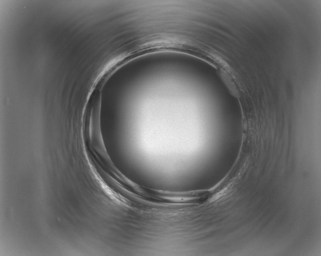 X0000052991034200507151850
