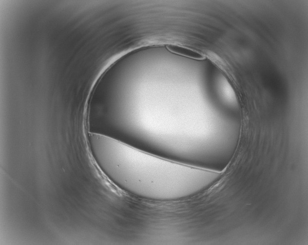 X0000052991052200507151850