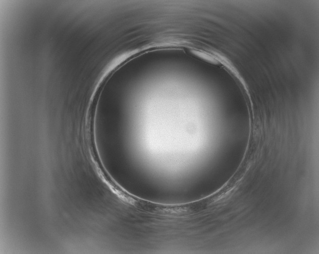 X0000052991053200507151850