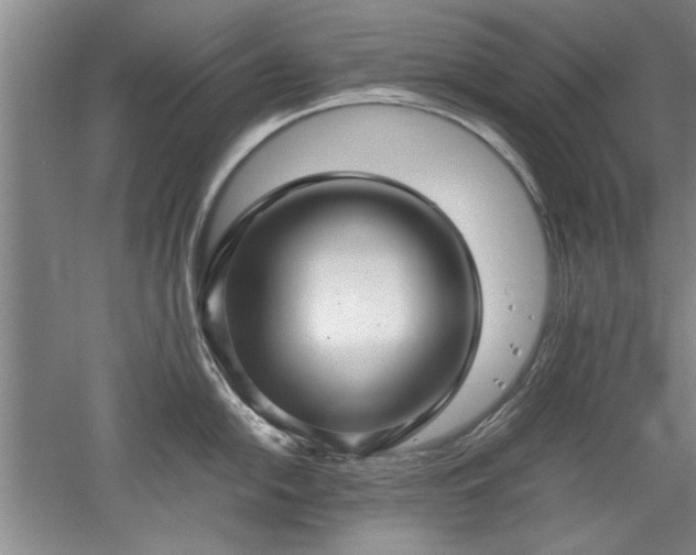 X0000052991054200507151850