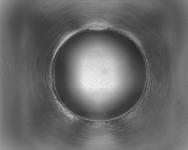 X0000052991056200507151850