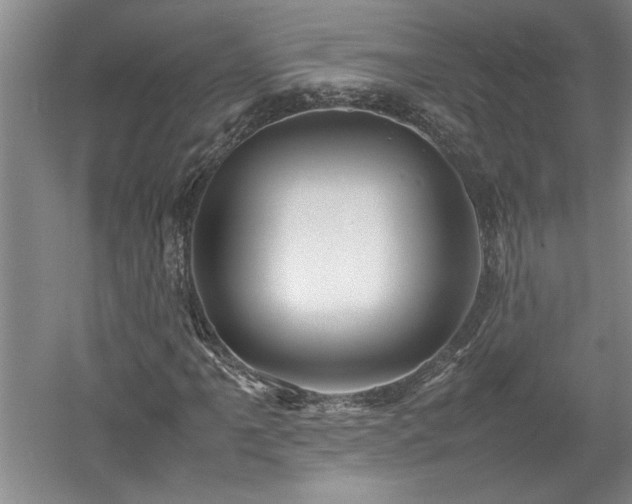 X0000052991061200507151849