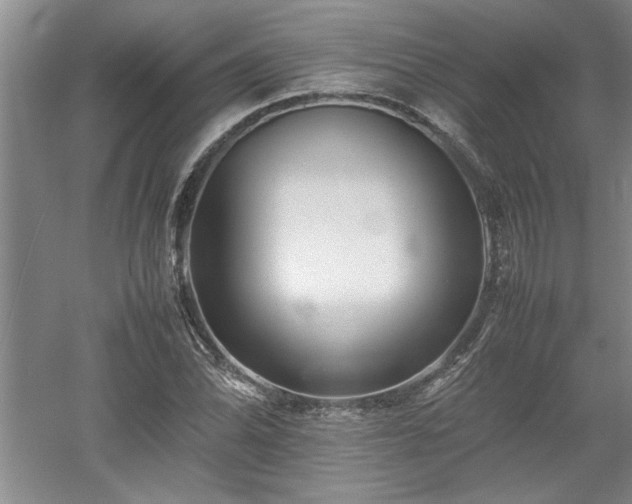 X0000052991070200507151849