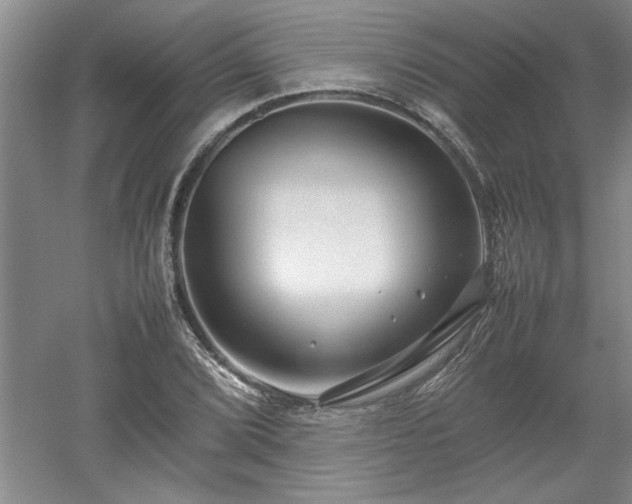 X0000052991072200507151849