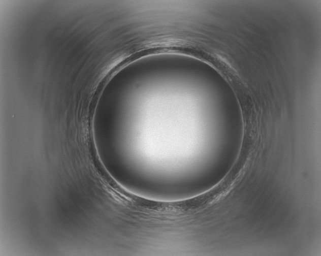 X0000052991073200507151849