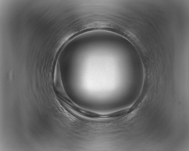 X0000052991081200507151849