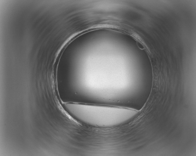 X0000052991092200507151848
