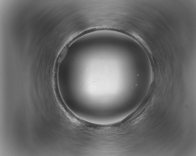 X0000052991093200507151848