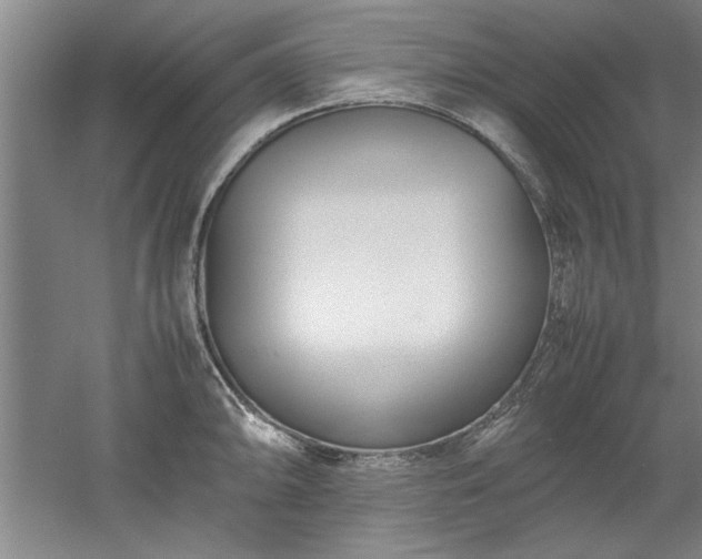 X0000052991094200507151848