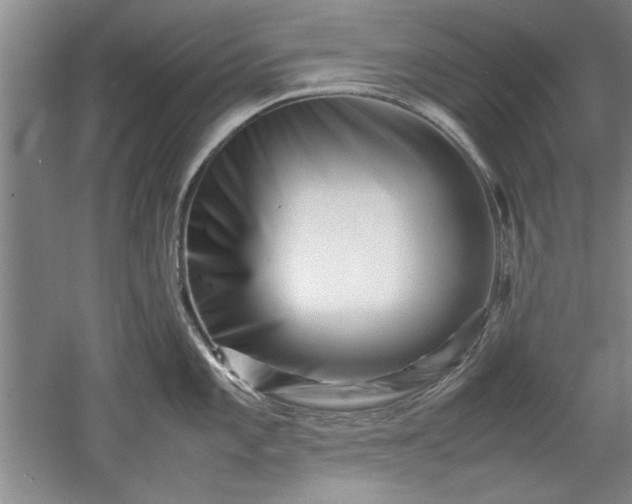 X0000052991101200507151848