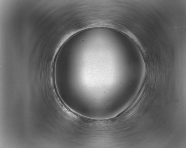 X0000052991102200507151848