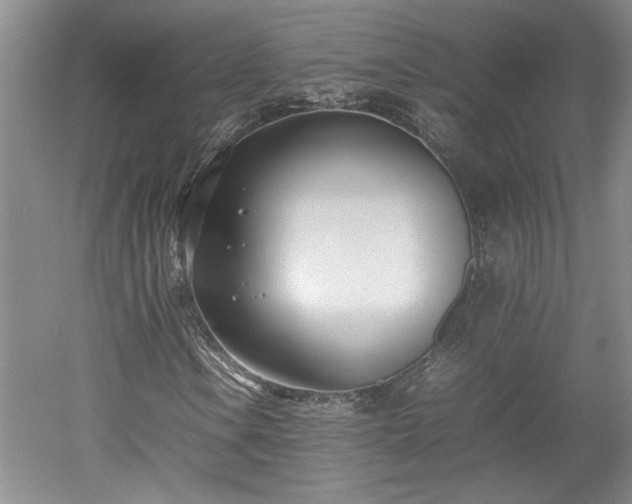 X0000052991106200507151847