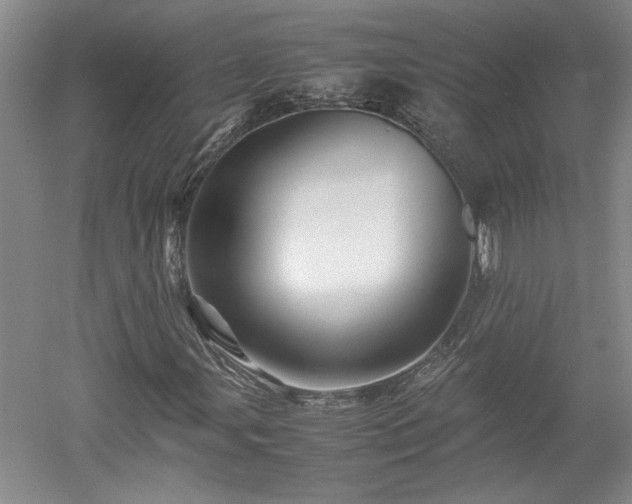 X0000052991107200507151848