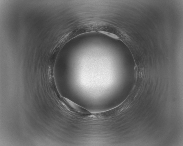X0000052991108200507151848