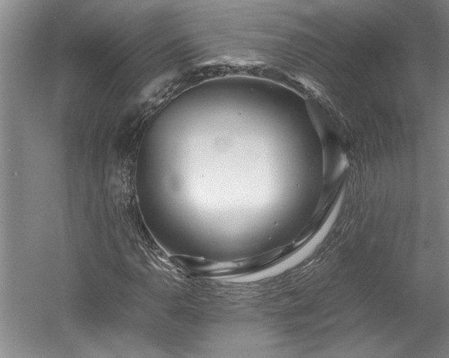X0000052991110200507151848