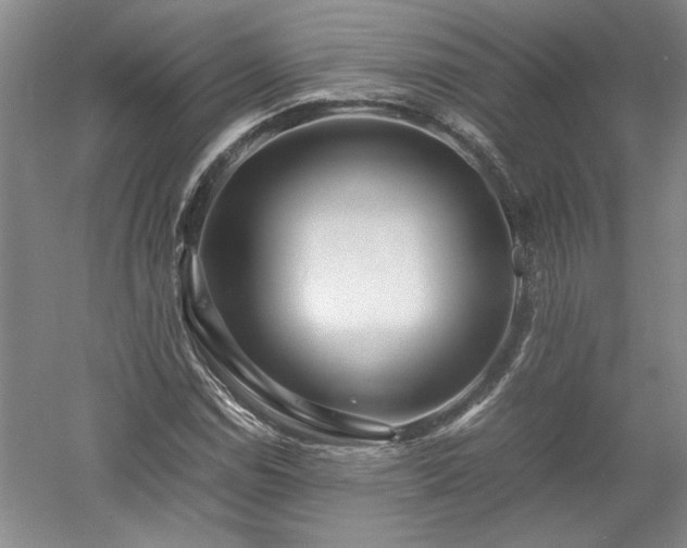X0000052991114200507151848