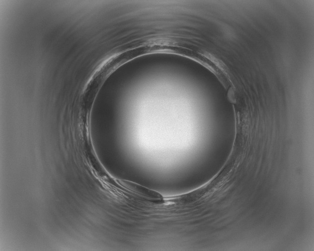 X0000052991115200507151848