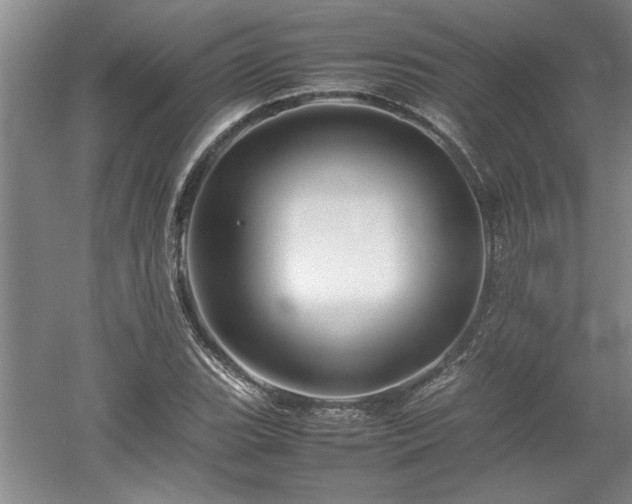X0000052991119200507151848
