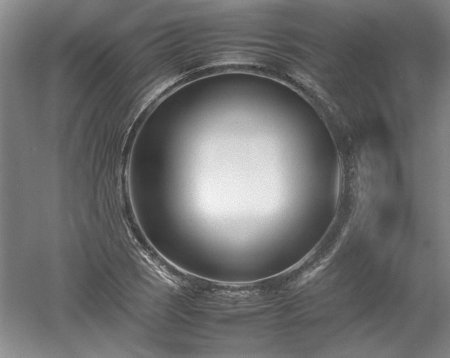 X0000052991121200507151848