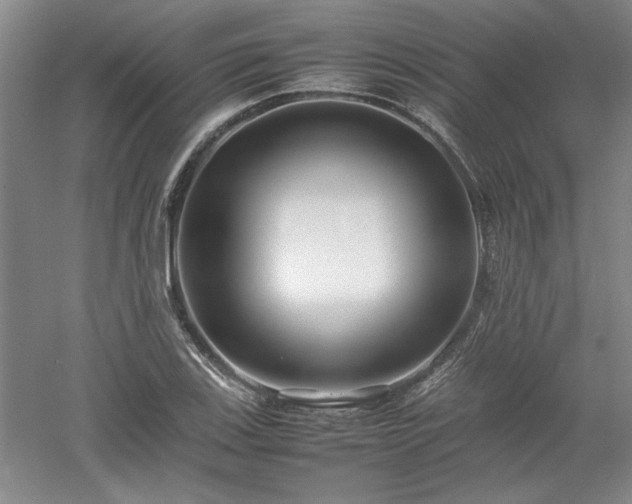 X0000052991123200507151848