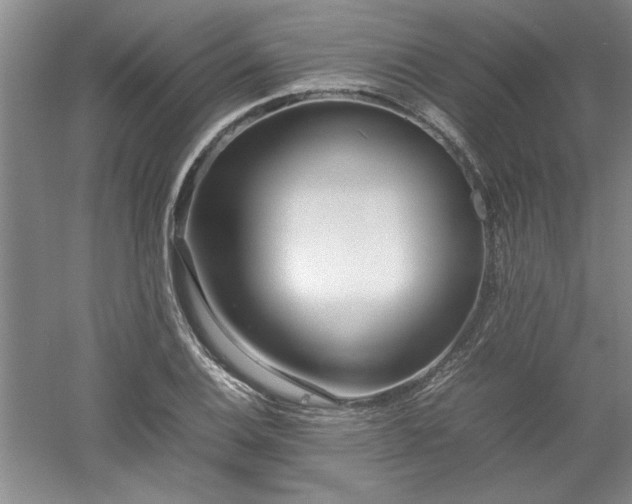 X0000052991124200507151848