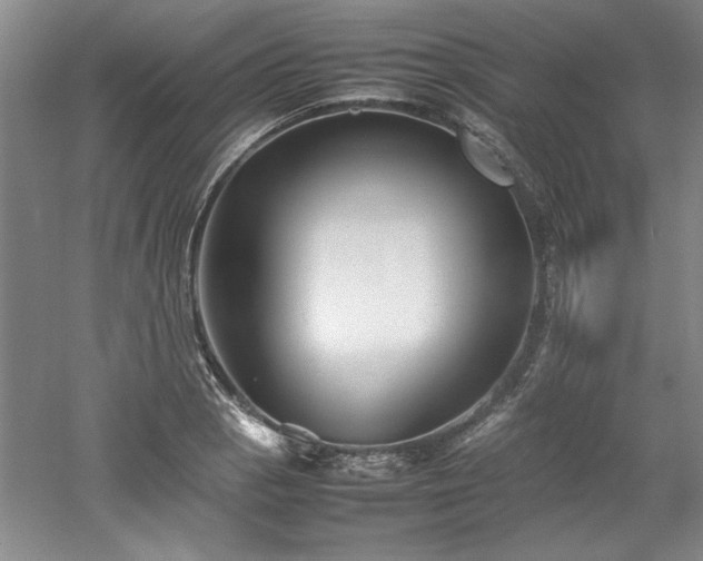 X0000052991129200507151848