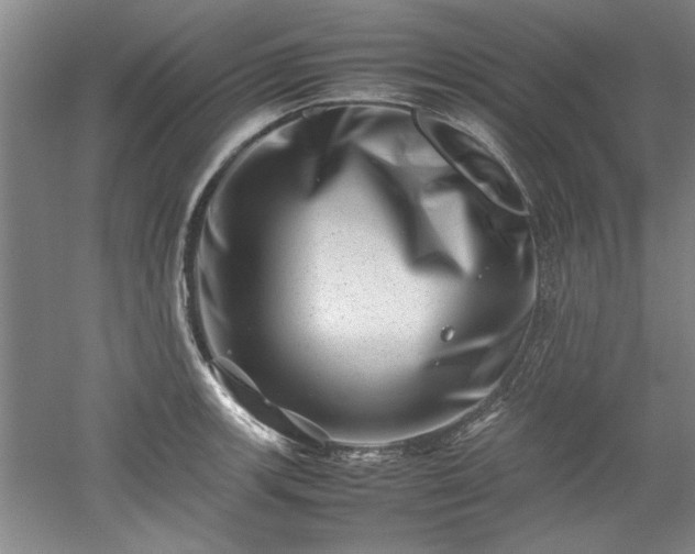 X0000052991139200507151848