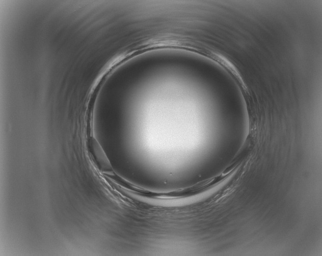 X0000052991146200507151848