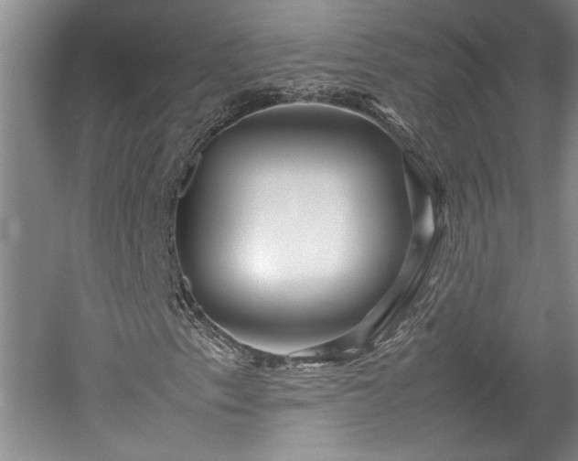 X0000052991153200507151847