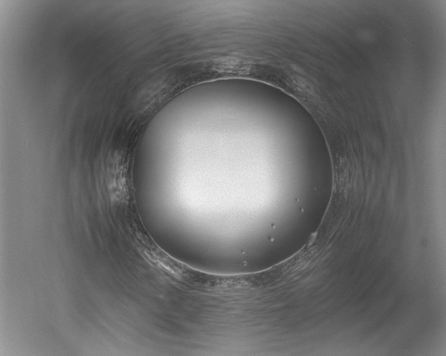 X0000052991154200507151847