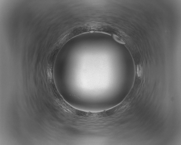 X0000052991155200507151847