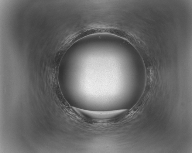 X0000052991157200507151847