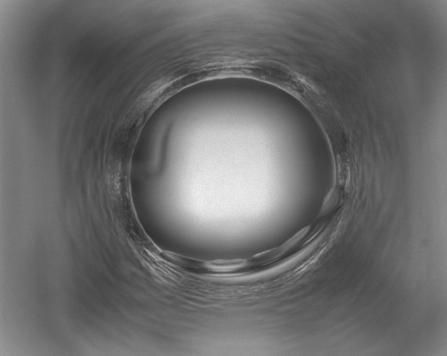 X0000052991161200507151847
