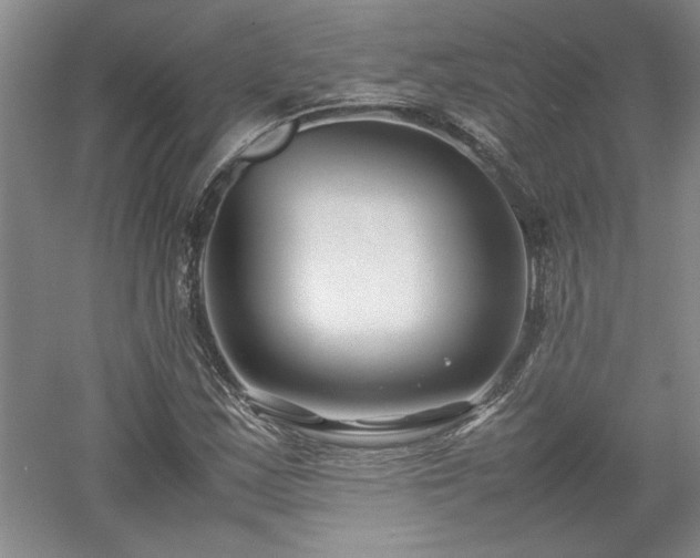 X0000052991163200507151847