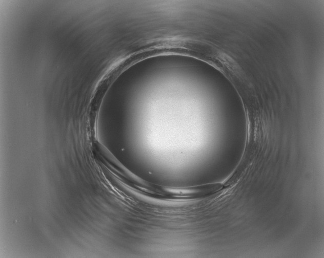 X0000052991164200507151847