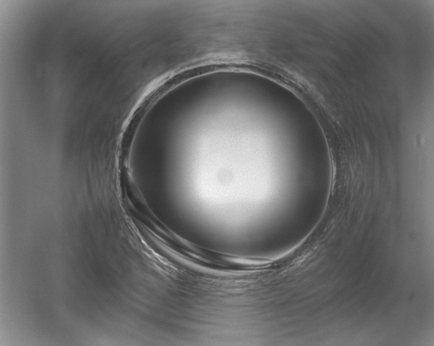 X0000052991168200507151847