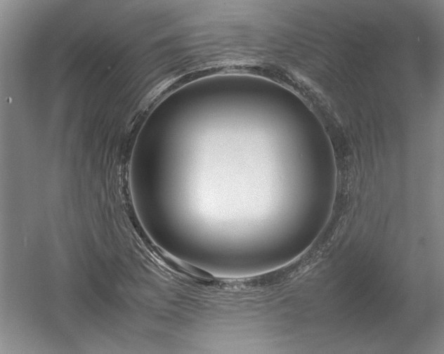X0000052991169200507151847