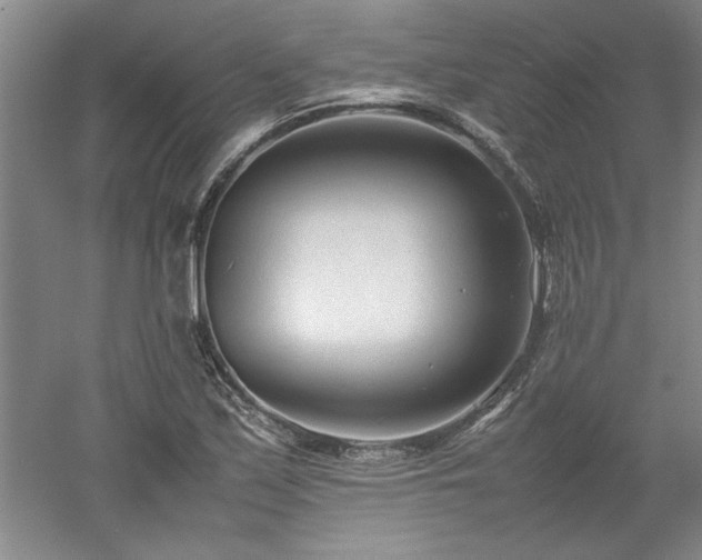 X0000052991171200507151847
