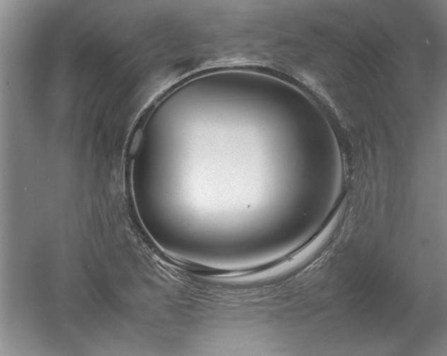 X0000052991173200507151847
