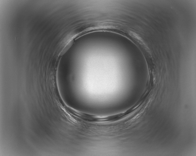 X0000052991177200507151847