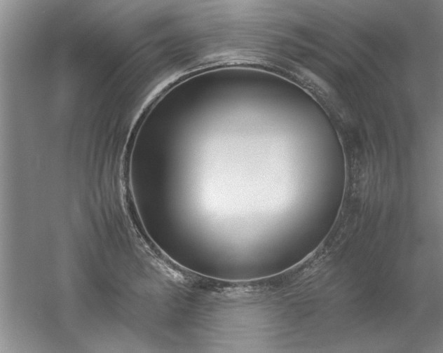 X0000052991182200507151847