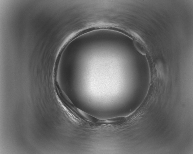 X0000052991183200507151847