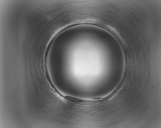 X0000052991184200507151847