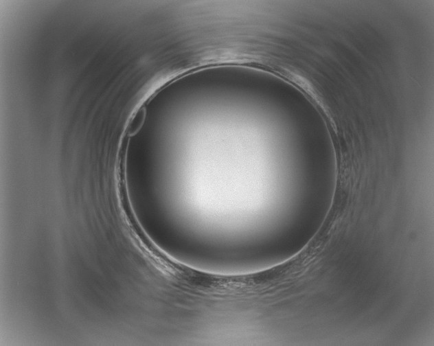 X0000052991187200507151847